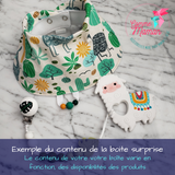 Boite cadeau SURPRISE, la mini